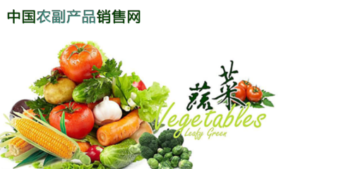 中國(guó)農(nóng)副產(chǎn)品銷售網(wǎng)